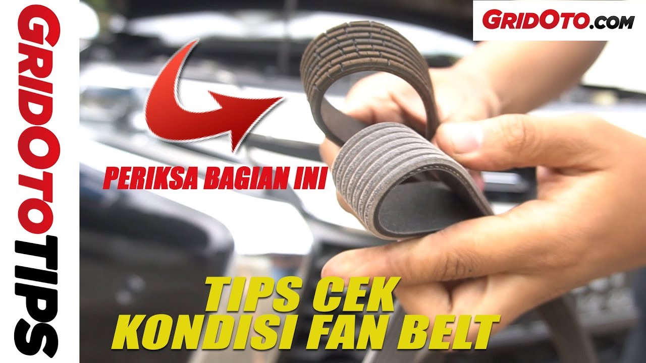 Tips Cek Kondisi Fan Belt | GridOto Tips how to get rid of fleas