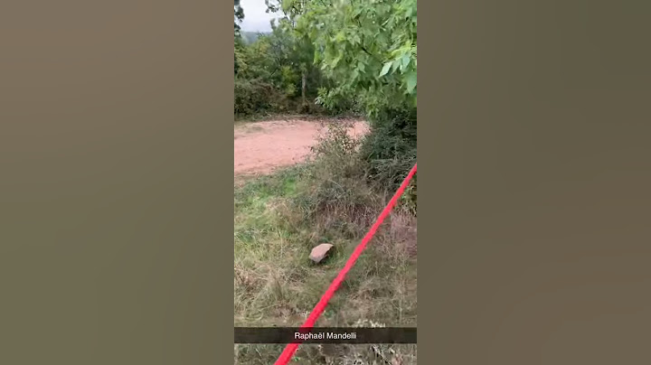 Les images de l'accident du rallye des Cardabelles dans l'Aveyron