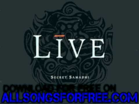 live - Mirror Song - Mental Jewelery