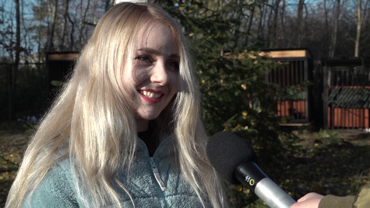 TARNÓWEK. (Nie)szczęścia na czterech łapach