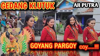 Download Lagu GEDANG KLUTUK KOPLO❗️❗️❗️ AJI PUTRA LIVE SAWOJAJAR BREBES MP3