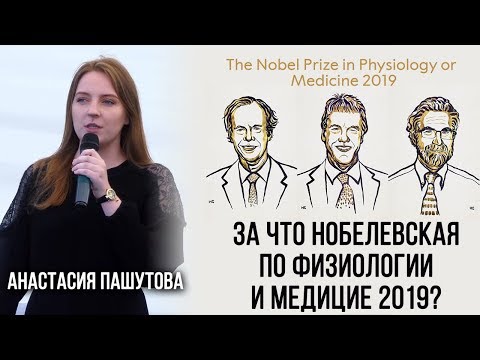 Анастасия Пашутова. За что вручили Нобелевскую премию по физиологии  и медицине в 2019?