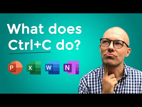 What does Ctrl C do?