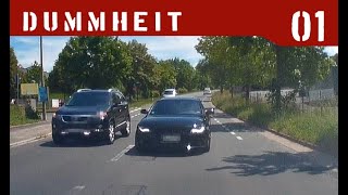 Werden die Menschen immer dümmer? - Dummheit im Straßenverkehr #1