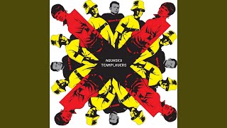 What Can You Do (Teamplayers Edit)