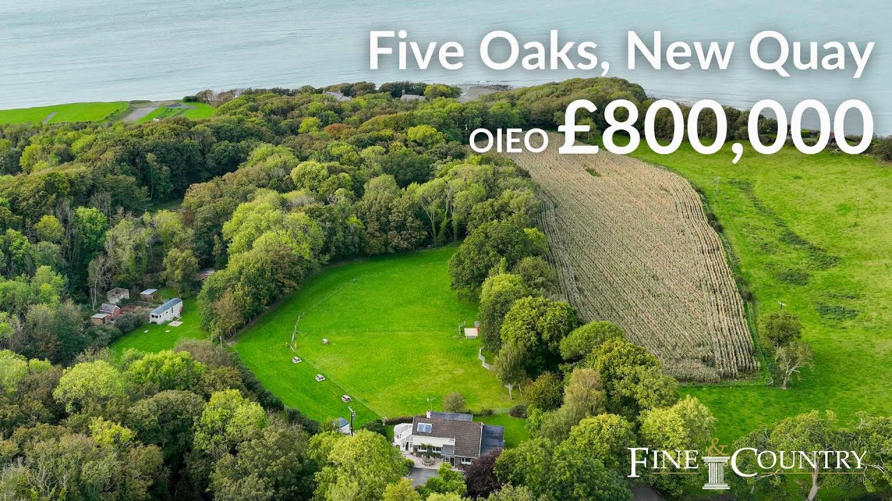 Wellpresented Modern 4 Bed Chalet Style Property For Sale in New Quay