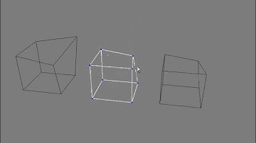 Cloning and Duplicating