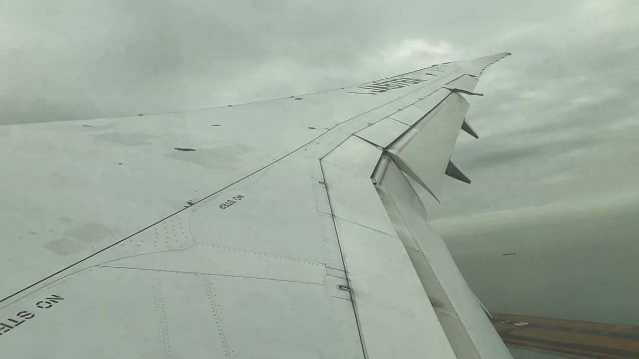 Boeing 787 Aborted landing and flaps