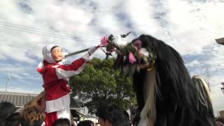 20151015大塩天満宮 毛獅子舞(北脇丁)