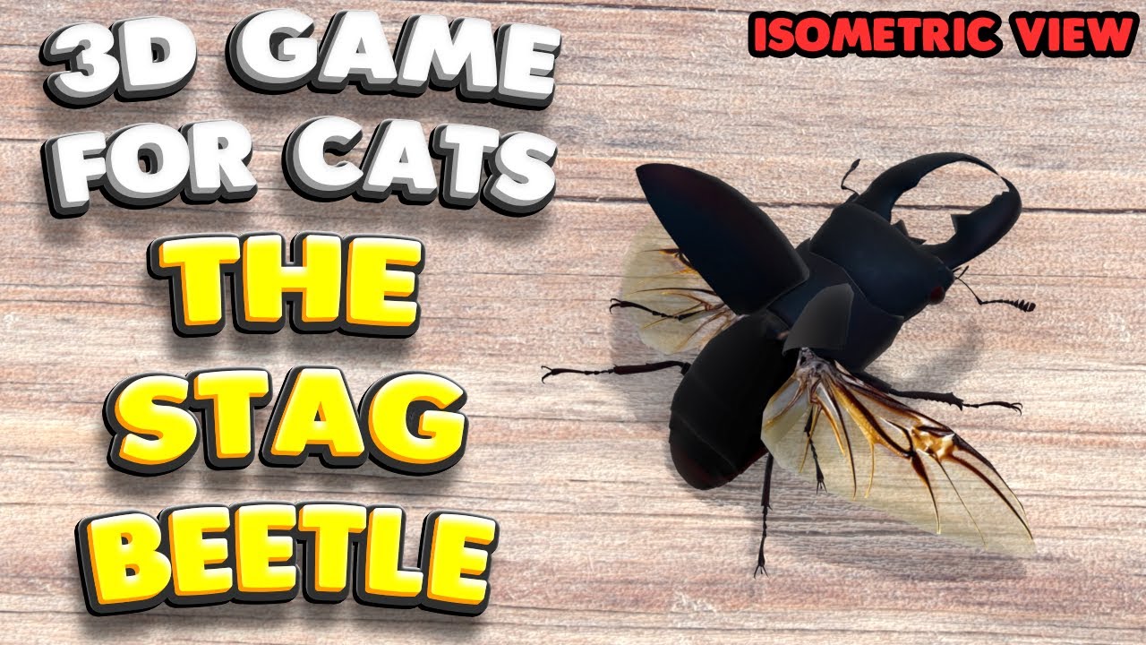 3D game for cats | The Stag Beetle (isometric view) | 4K, 60 fps, stereo sound