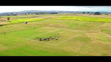 Back Fencing using Virtual Fences