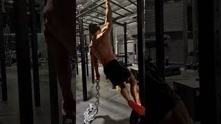 Silverback Shoulder Conditioning 🦍