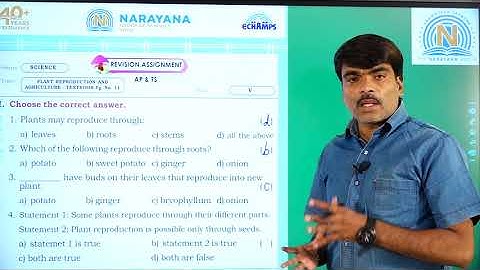 14TH AUG AP & TS CLASS V SCIENCE REVISION ASSIGNMENT KEY