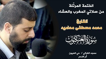 سورة العنكبوت كاملة القارئ محمد مصطفى تلاوة هادئة تريح القلب🖤🎧Al-Ankabut  #قرآن #تلاوات