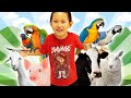 Michael Visits an Animal Park and Learns about Animals! - Educational Videos For Kids