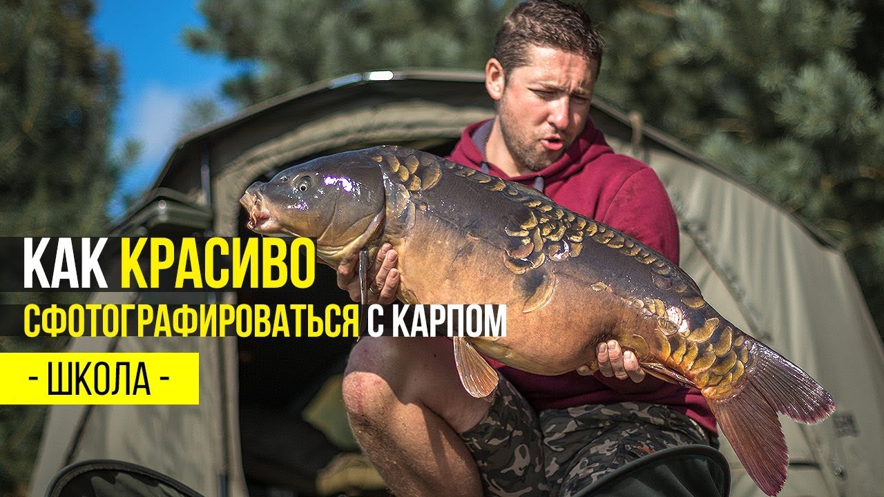 Как сделать наживку на карпа 492