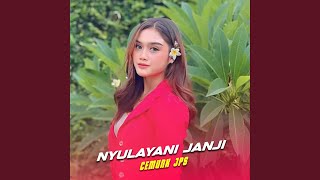 Nyulayani Janji