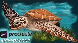 Sea Turtle | Procreate Speedpaint
