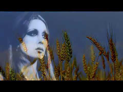     يبكى ويضحك فيروز