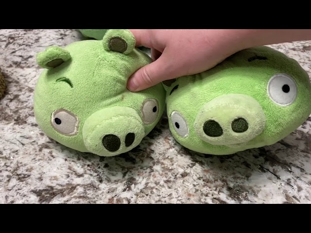 Angry Birds Epic Angry Birds Go! Bad Piggies Domestic pig Pig