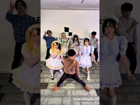 メイドとオタクが爆裂愛してる踊ってみた【M!LK】@Maidcafe.magical-lollipop