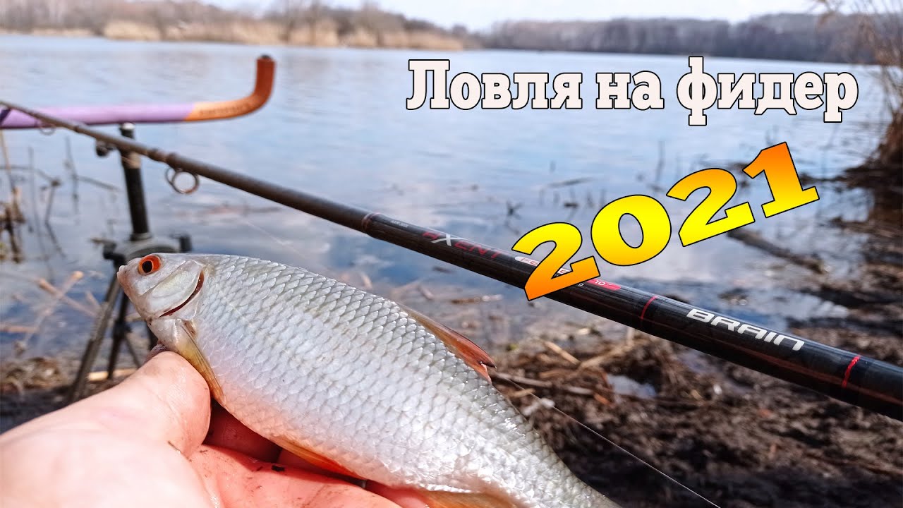 Ловля на фидер ранней весной