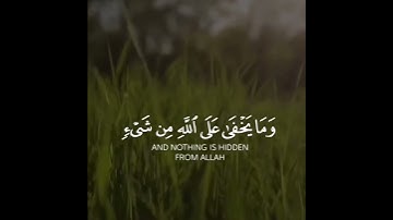 تلاوة خاشعة تريح القلب❤ #تلاوة #تلاوة_خاشعة #القرآن_الكريم