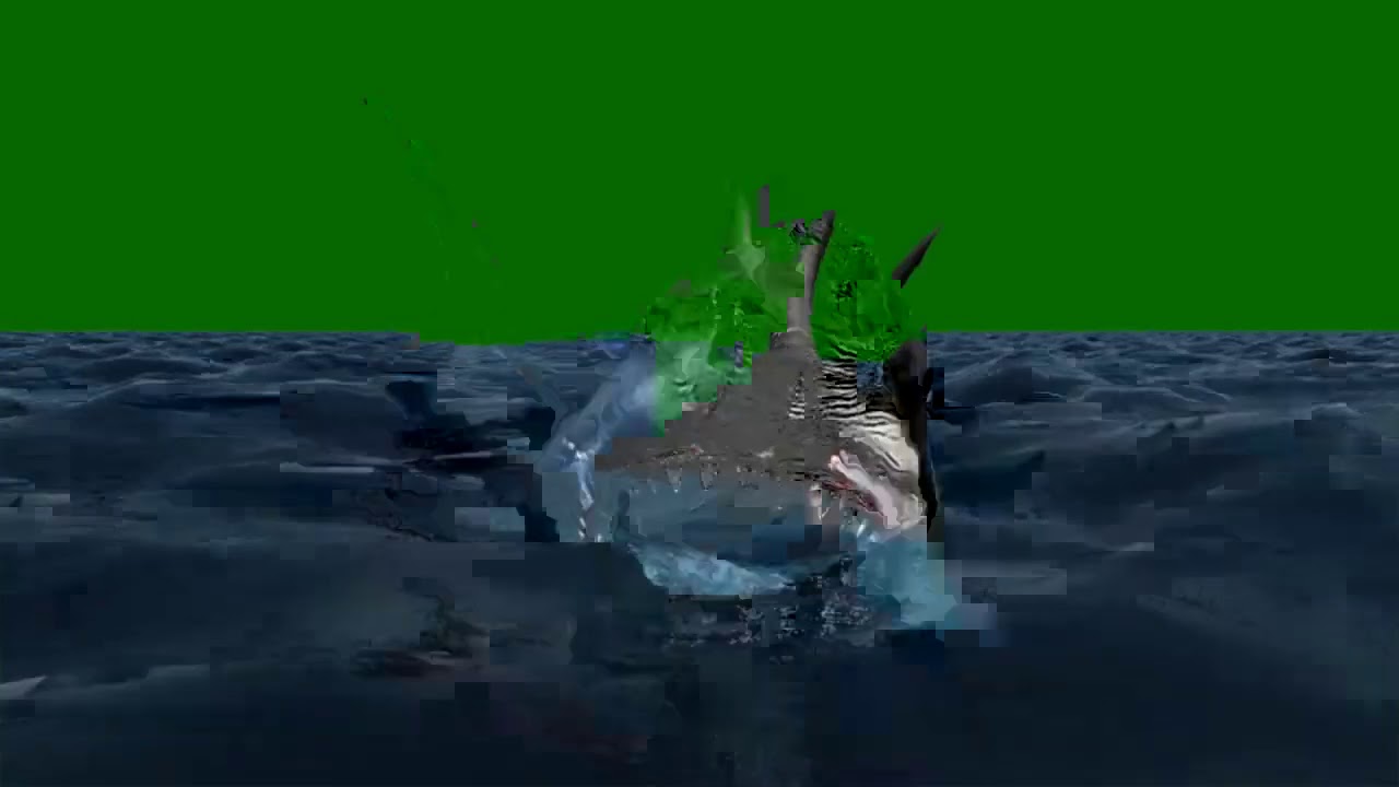 Shark green screen video | Ahmed tricks....