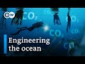 Understanding Ocean's Role in Carbon Sequestration