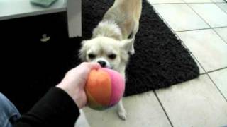 DSCF3504.AVI