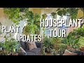 Living room jungle tour  houseplant updates   apartment plant tour