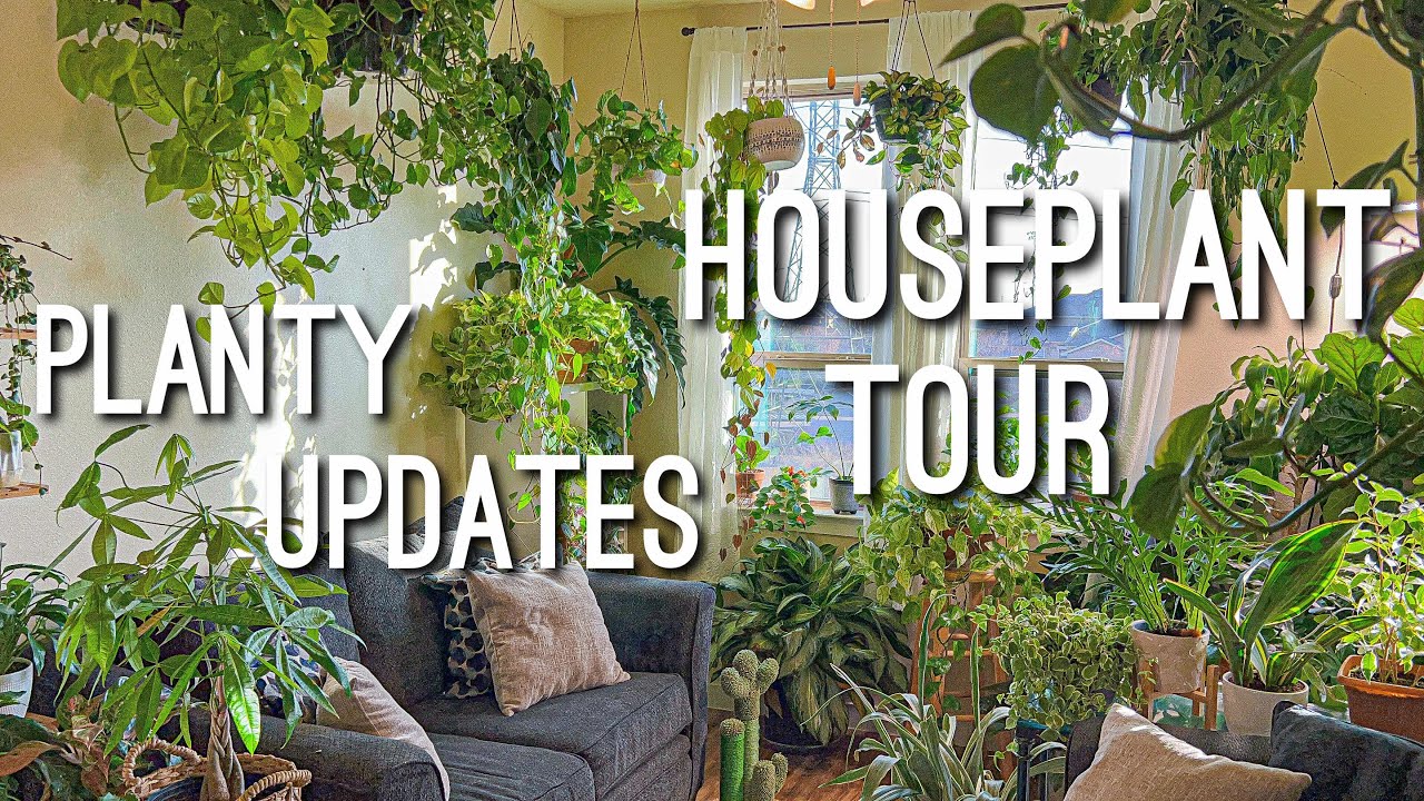 Living Room Jungle Tour | Houseplant Updates 🪴 | Apartment Plant Tour ...