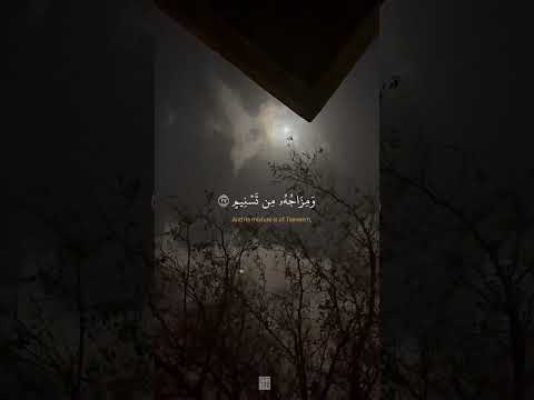 و م ز اج ه ۥ م ن ت س ن يم ع ي ن ا ي ش ر ب ب ه ا ٱل م ق ر ب ون المنشاوي رحمه الله