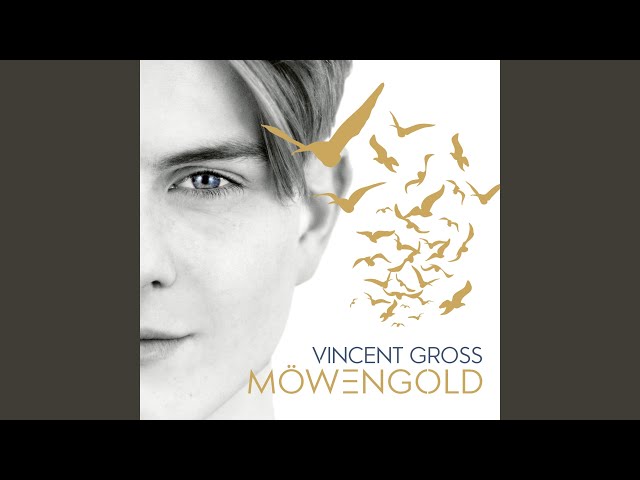 Vincent Gross - Mein Lied Für Dich