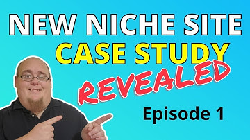 Niche Website Case Study