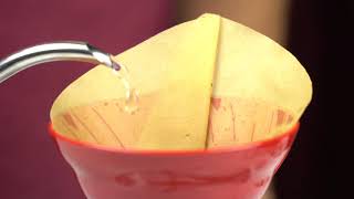 The Melitta Coffee Filter Hack for Hario V60 (#2)