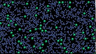 Famous LAMMPS tutorial. 2D Lennard Jones fluid, simple molecular dynamics for absolute beginner Net Worth