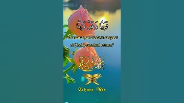 حالات واتس سورة مريم💙🌸 _ الآية 76 (القارئ مشاري راشد العفاسي)