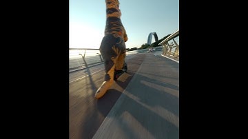 Beta Pavo30| Run Run Run, Dinosaur! #shorts