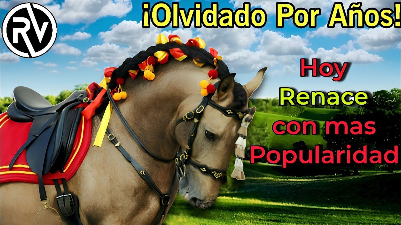 El Caballo Lusitano | ¿Moda o Auge? El Renacer del NUEVO Lusitano