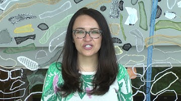 Architecting an Agile Test Transformation Program | Klaudia Breslavets | STARCANADA