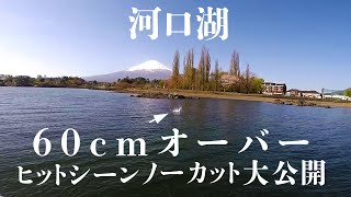 世界遺産 富士山の麓河口湖でデカバス狙い！！河口湖トミーガイド、十八番の表層ワカサギパターンでロクマル捕獲！！