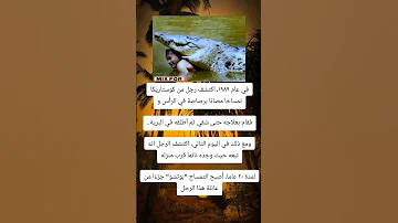في عام ١٩٨٩ اكتشف رجل من كوستاريكا تمساحا مص ابا برص اصة في الرأس Shortsree 