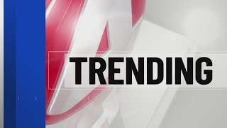 Students learn job skills and show Bills pride