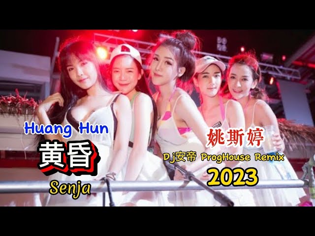 姚斯婷 - 黄昏 - Huang Hun - (Dj安帝 ProgHouse Remix 2023) Senja #dj抖音版2023 class=