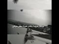صدفه حلوه كتير غيرت كل حياتي M صدفه حلوه كتير غيرت كل حياتي M