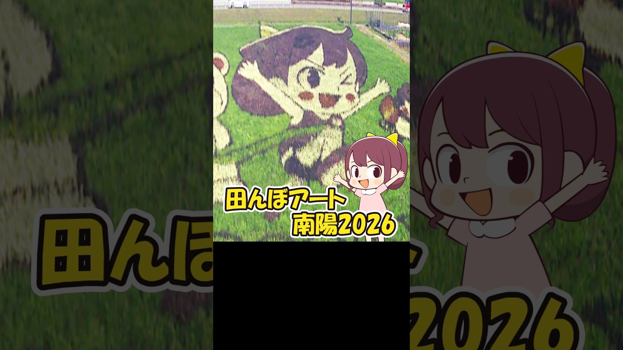 田んぼアート南陽2026 #ヒマリとくま