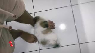 Biel Oliveira Feet 5