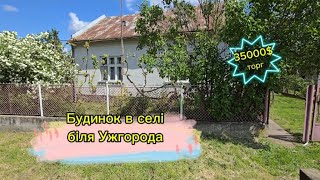 Будинок в селі в 10 км від м Ужгород, ділянка 25 сот (Закарпатська обл)