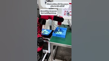 Visual tracking to pick up parts #borunte #machine #robot #vision